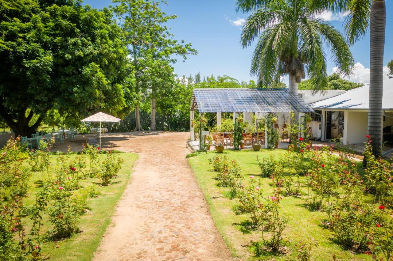 Francines Venue Pty Ltd Bed & Breakfast Hoedspruit Bagian luar foto