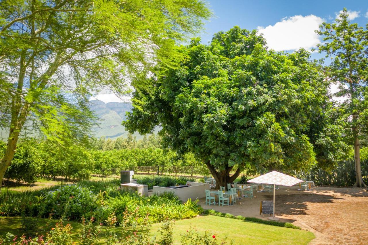 Francines Venue Pty Ltd Bed & Breakfast Hoedspruit Bagian luar foto